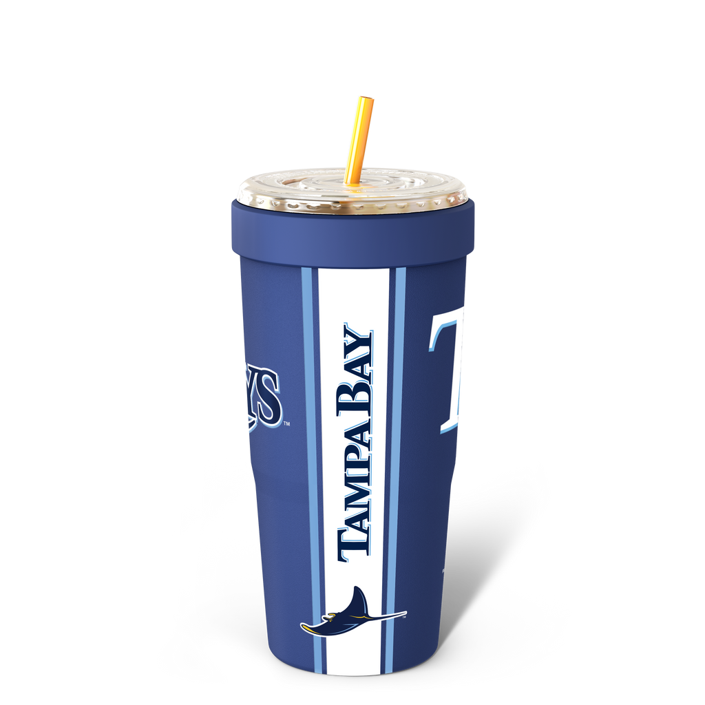 To-Go Buddy Tampa Bay Rays Gameday