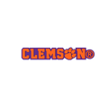 Budz Clemson Tigers