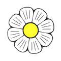 Budz Daisy