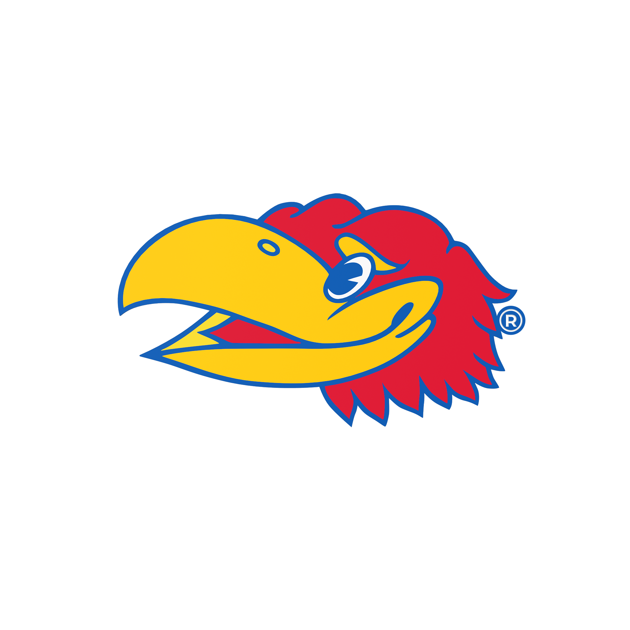 Budz Kansas Jayhawks