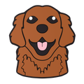 Budz Retriever