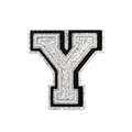 Budz Silver Letter Y