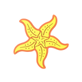 Budz Starfish